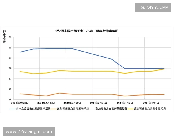 2025年白菜最新市场批发价格及趋势分析